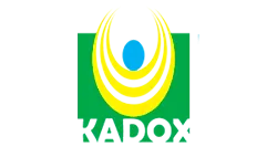 Cliente Sidinei Augusto - Kadox